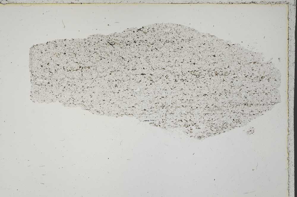 Plane Polarized, S41562