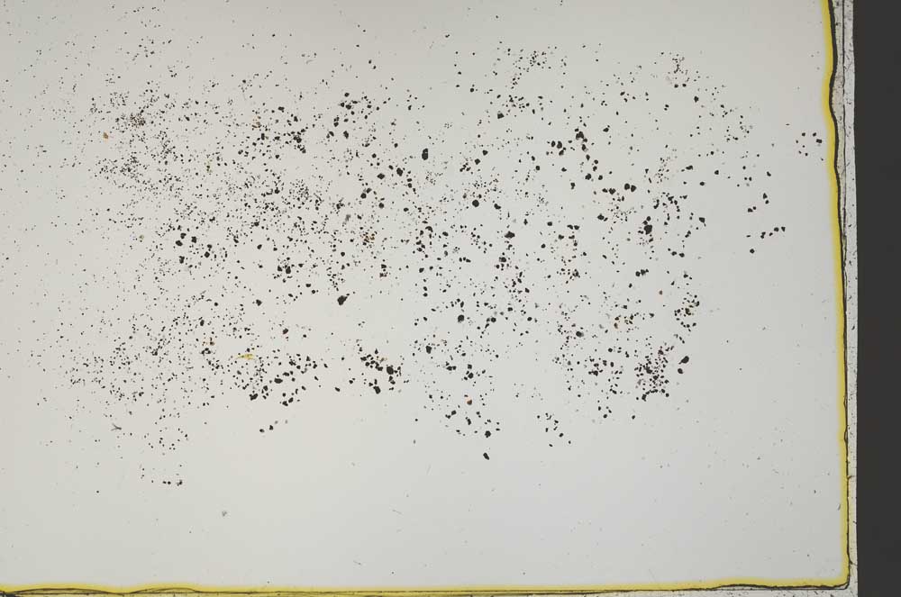Plane Polarized, S41562/B