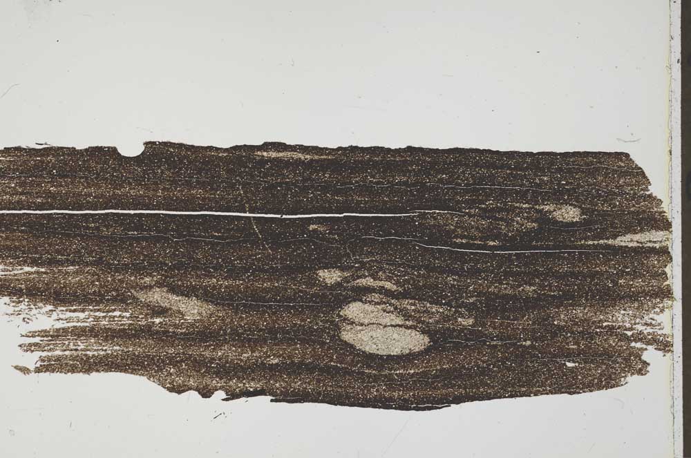 Plane Polarized, S41564