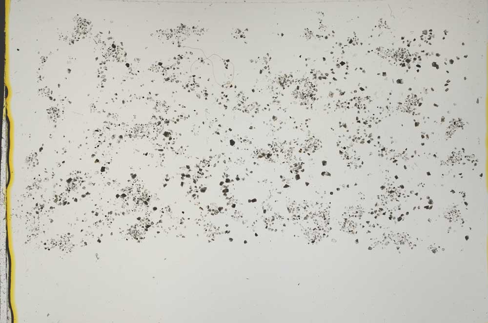 Plane Polarized, S41567/C