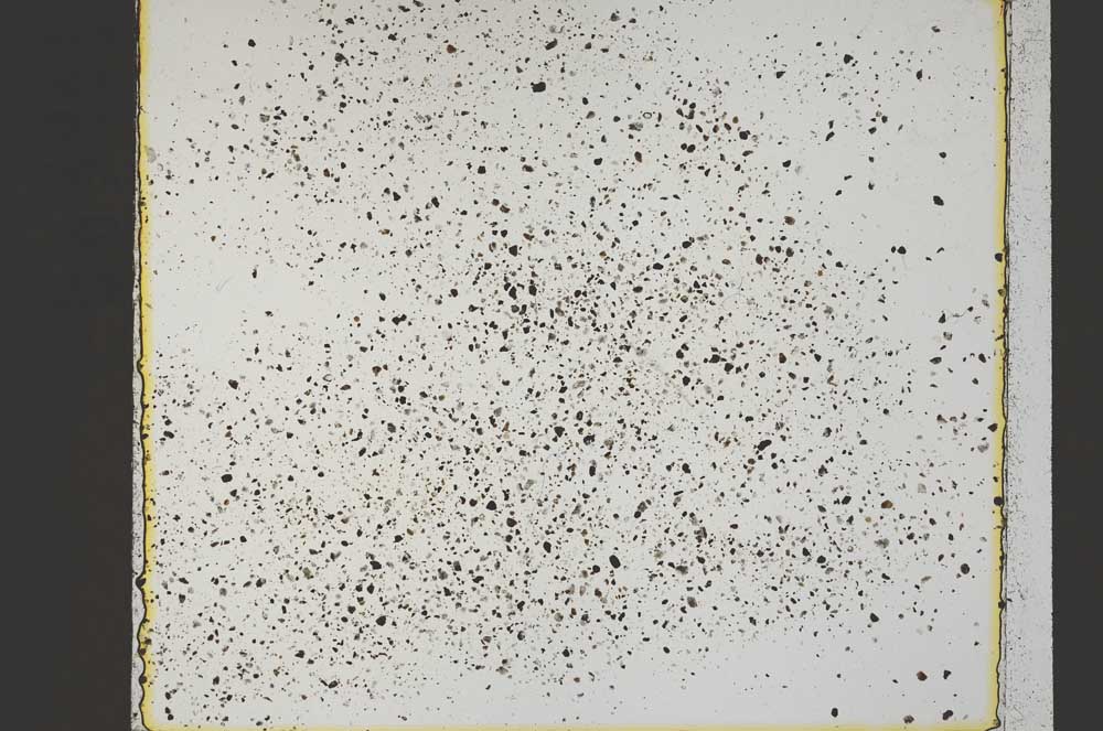 Plane Polarized, S41568/A