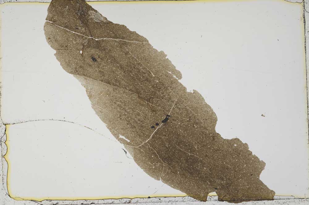 Plane Polarized, S41579