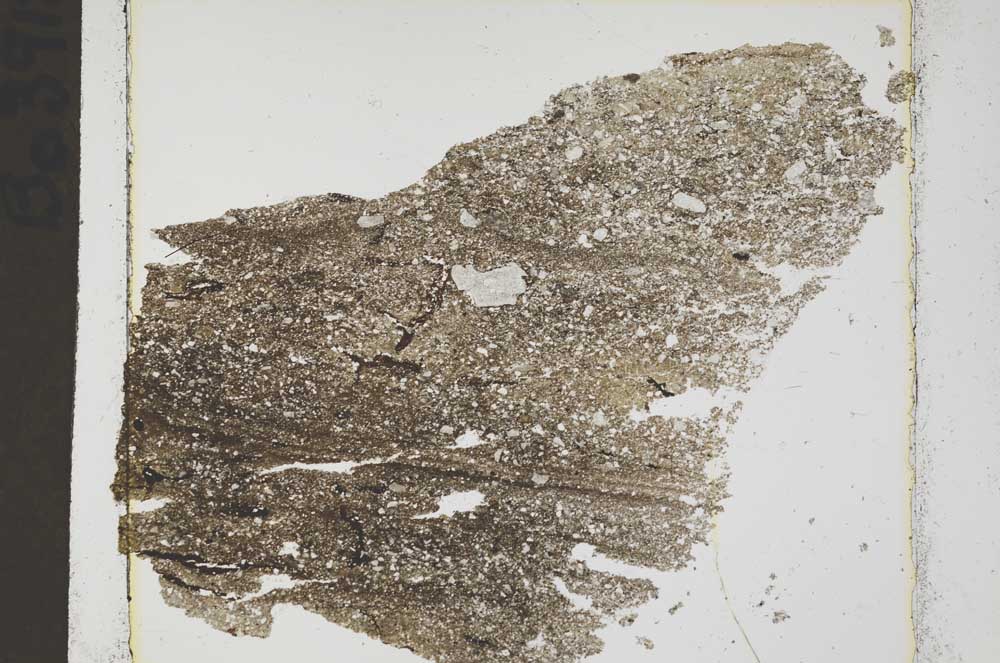 Plane Polarized, S41580