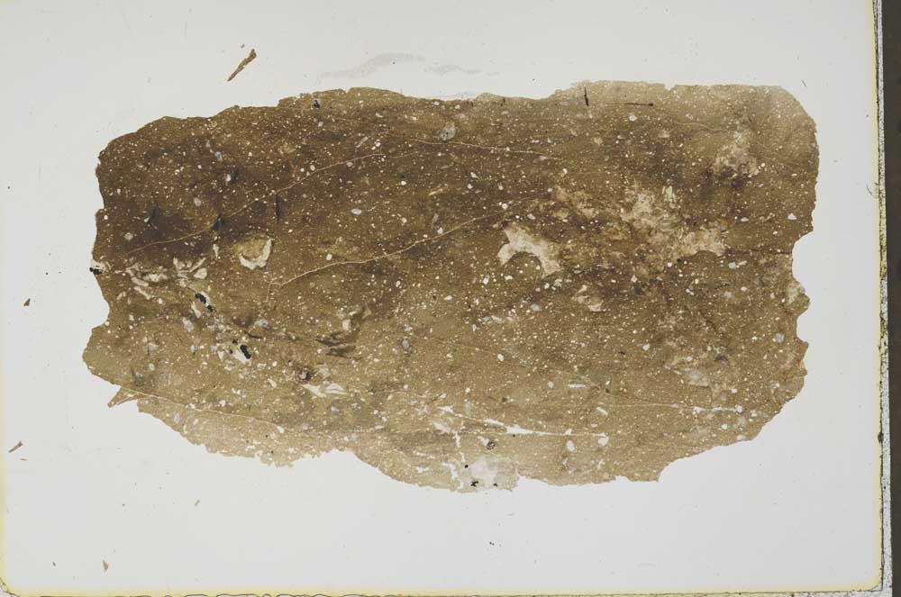 Plane Polarized, S41583