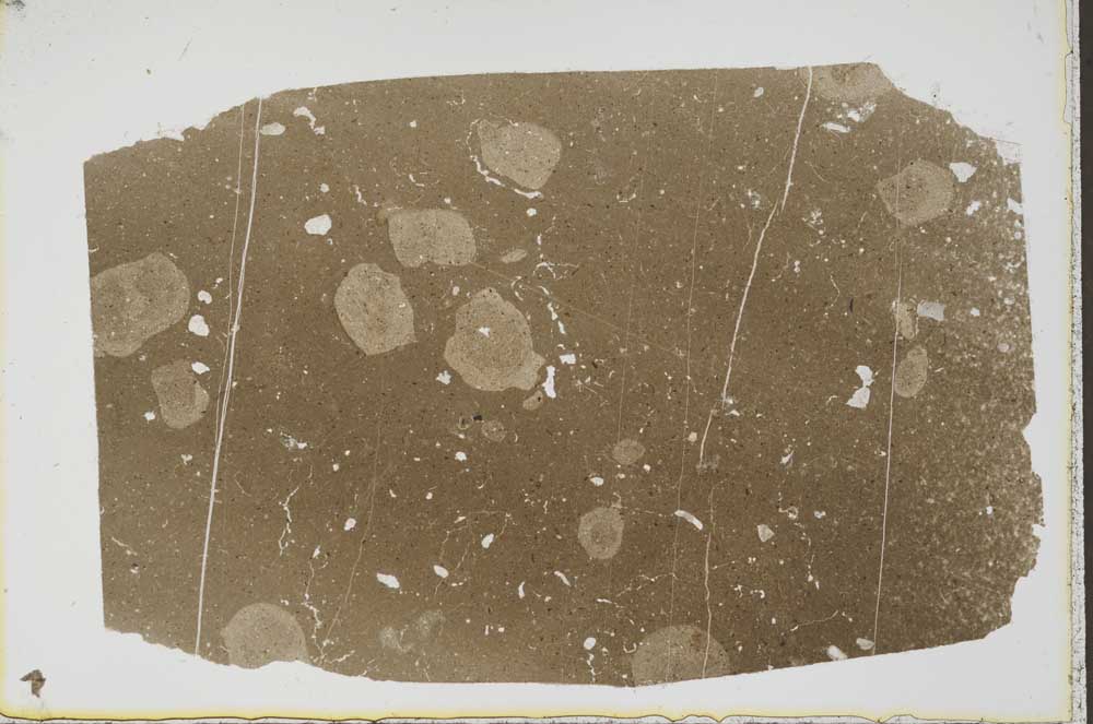 Plane Polarized, S41584
