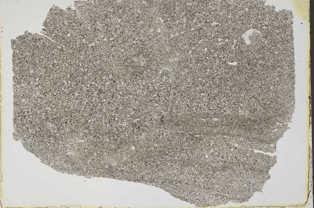 Plane Polarized, S41587