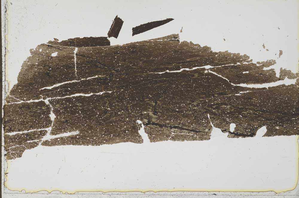 Plane Polarized, S41591