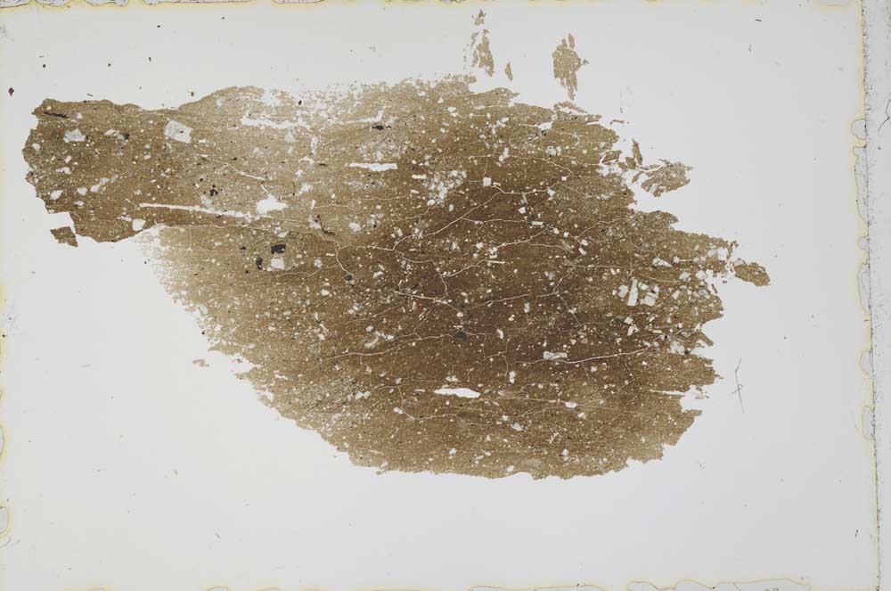 Plane Polarized, S41603