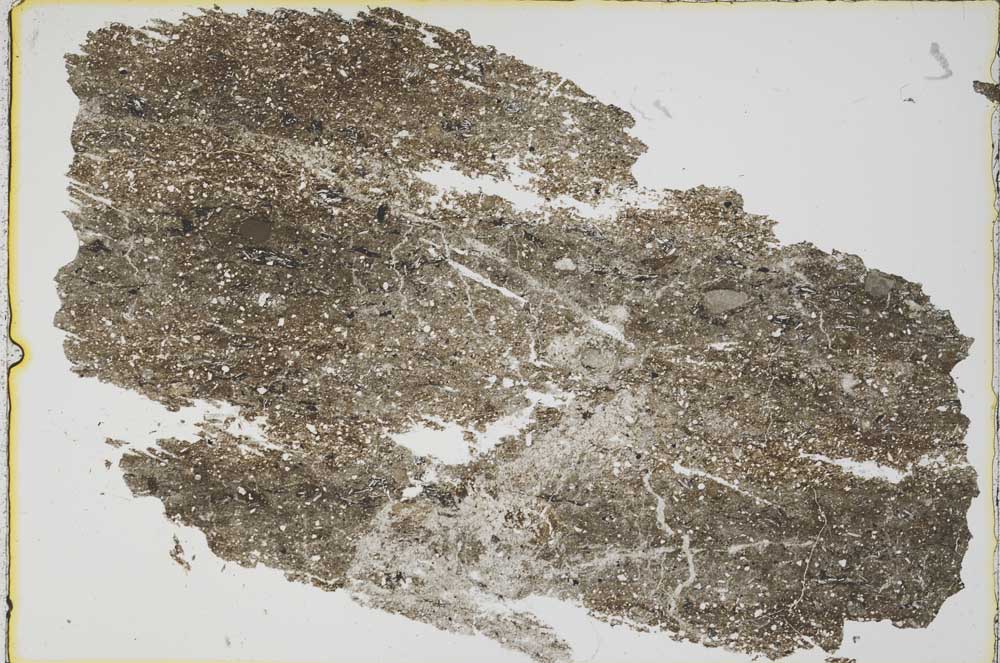 Plane Polarized, S41609