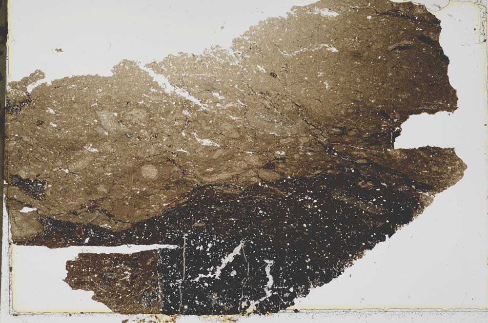 Plane Polarized, S41611