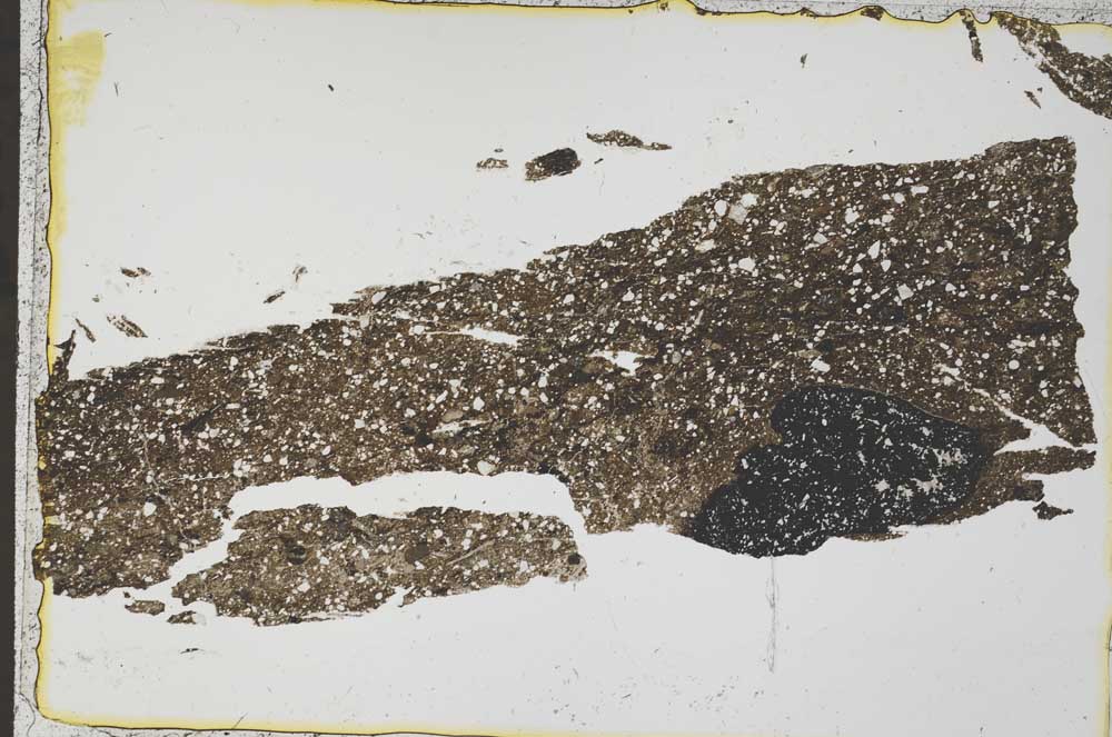 Plane Polarized, S41614