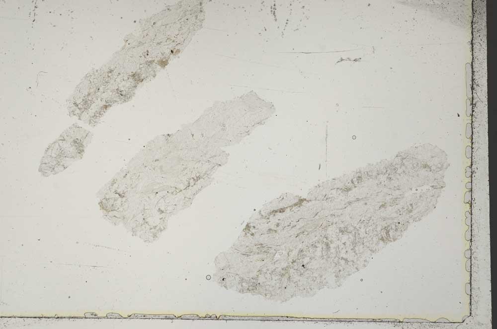 Plane Polarized, S41649