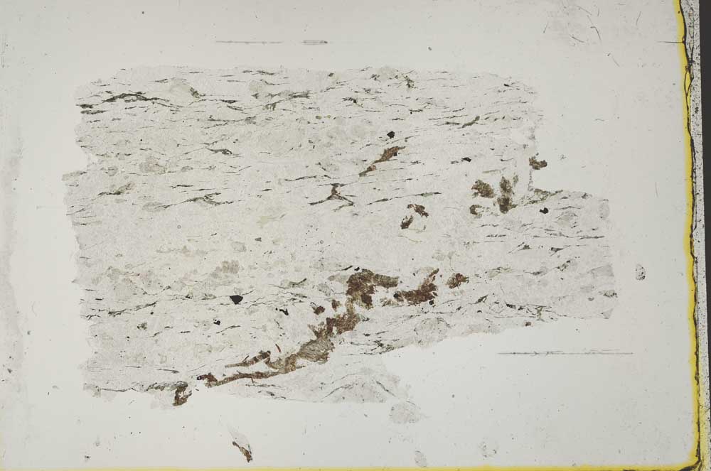 Plane Polarized, S41650