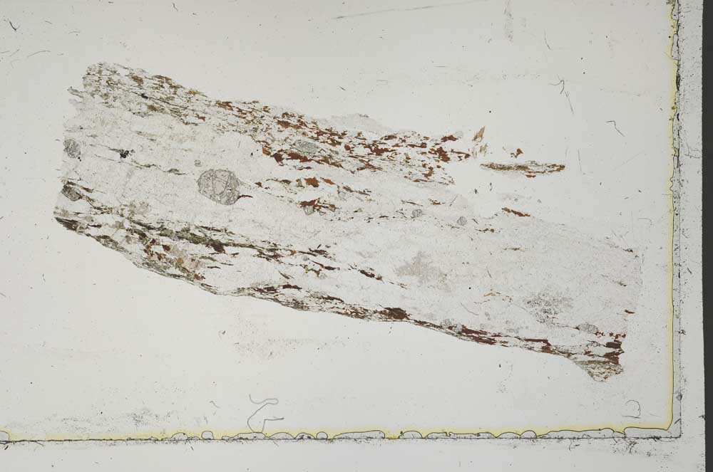 Plane Polarized, S41653
