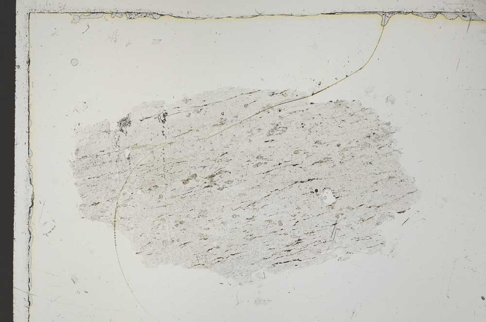 Plane Polarized, S41654