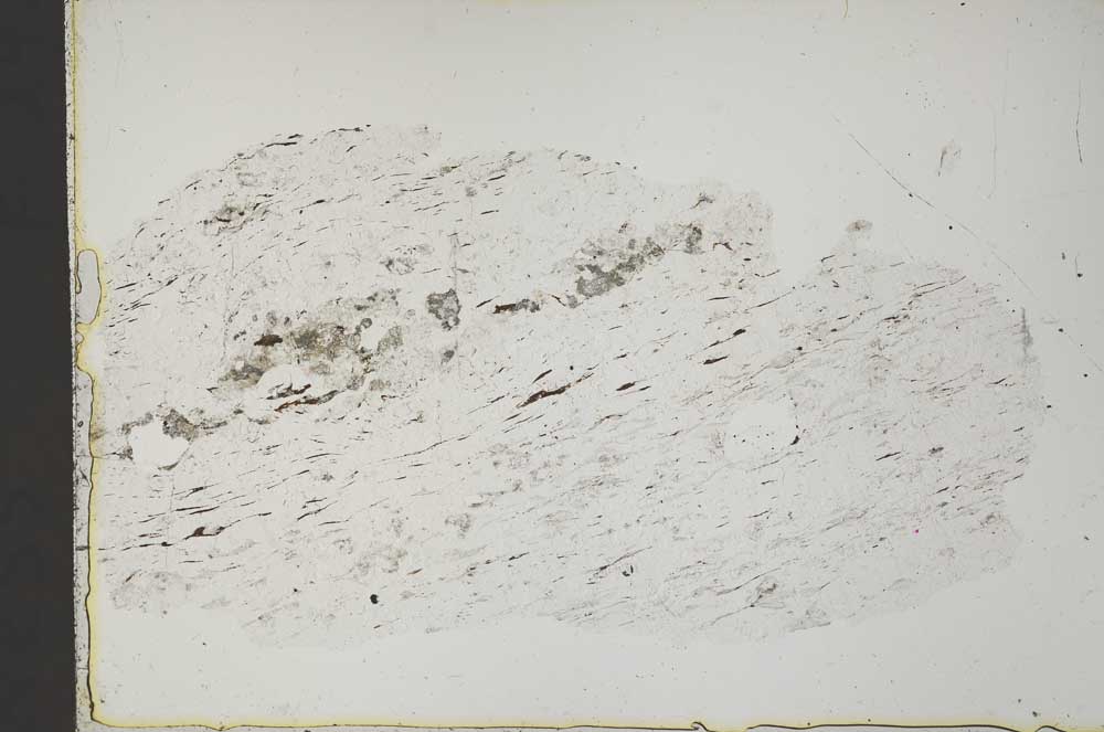 Plane Polarized, S41657