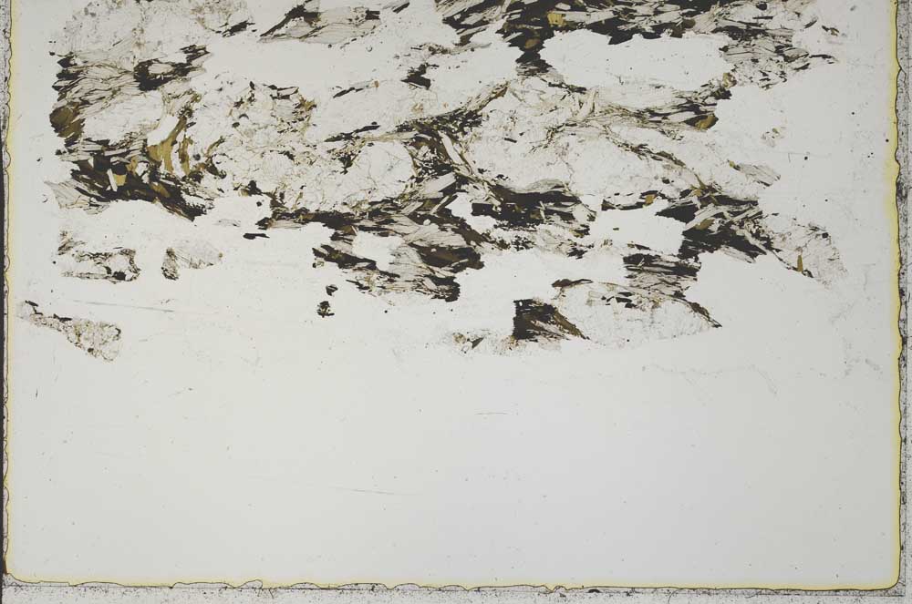 Plane Polarized, S41667/A