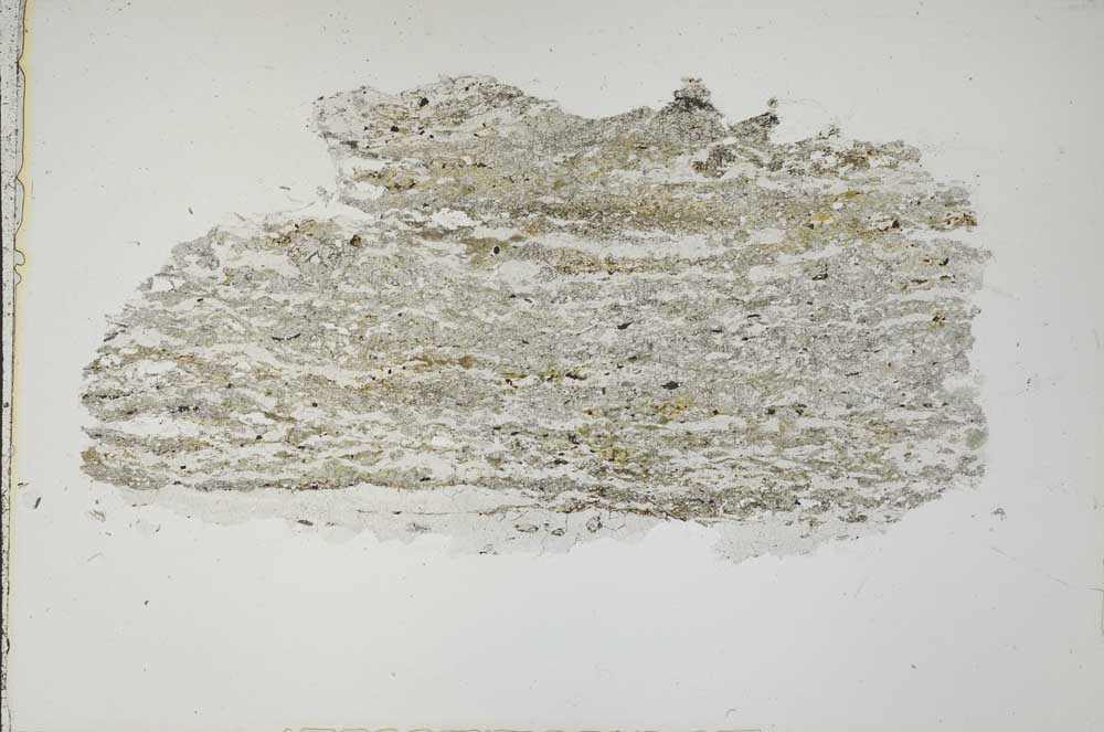 Plane Polarized, S41681