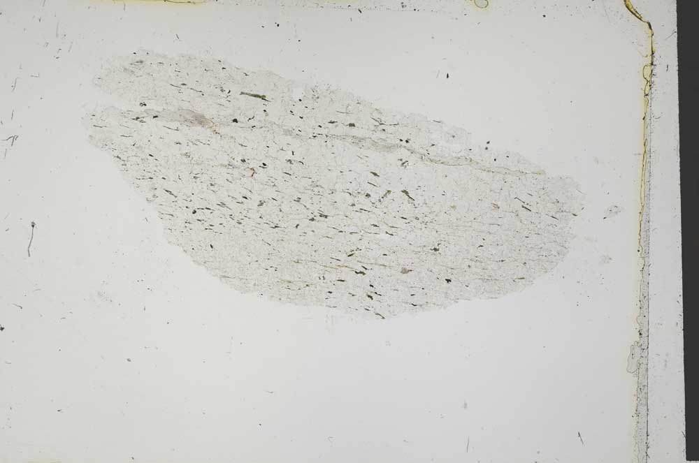 Plane Polarized, S41685