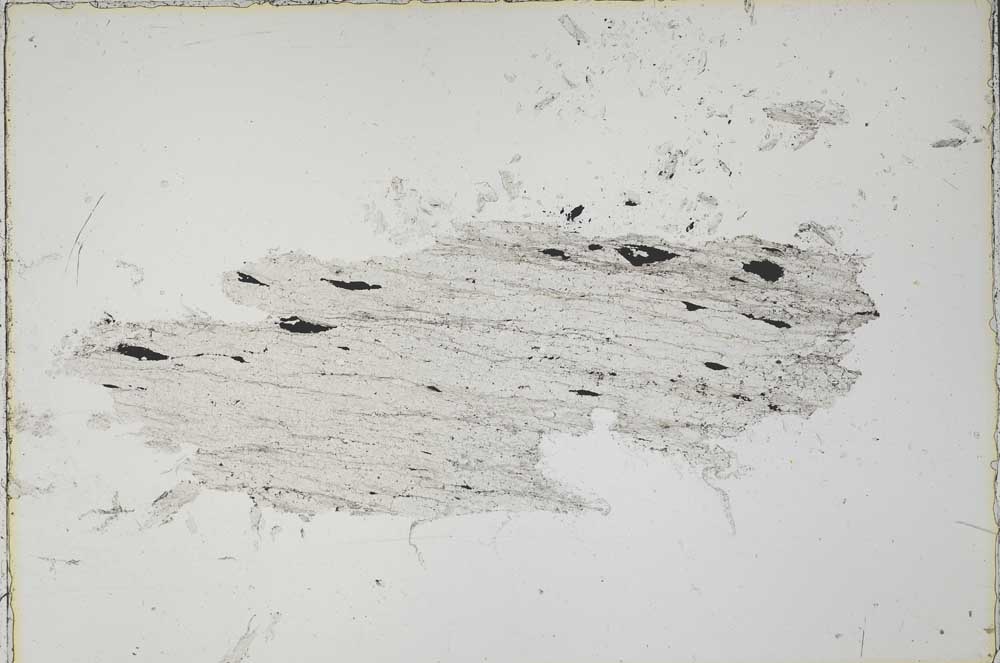 Plane Polarized, S41686