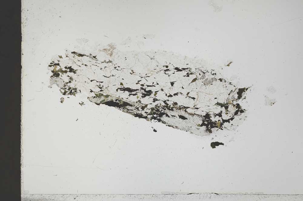 Plane Polarized, S41708/A
