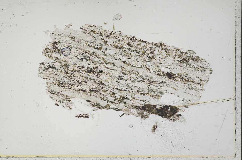 Plane Polarized, S41710/A