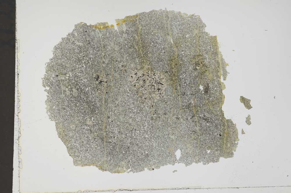 Plane Polarized, S41758