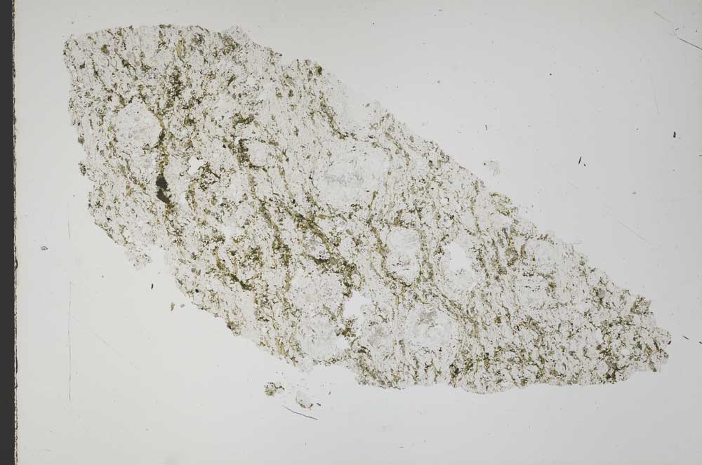 Plane Polarized, S41805