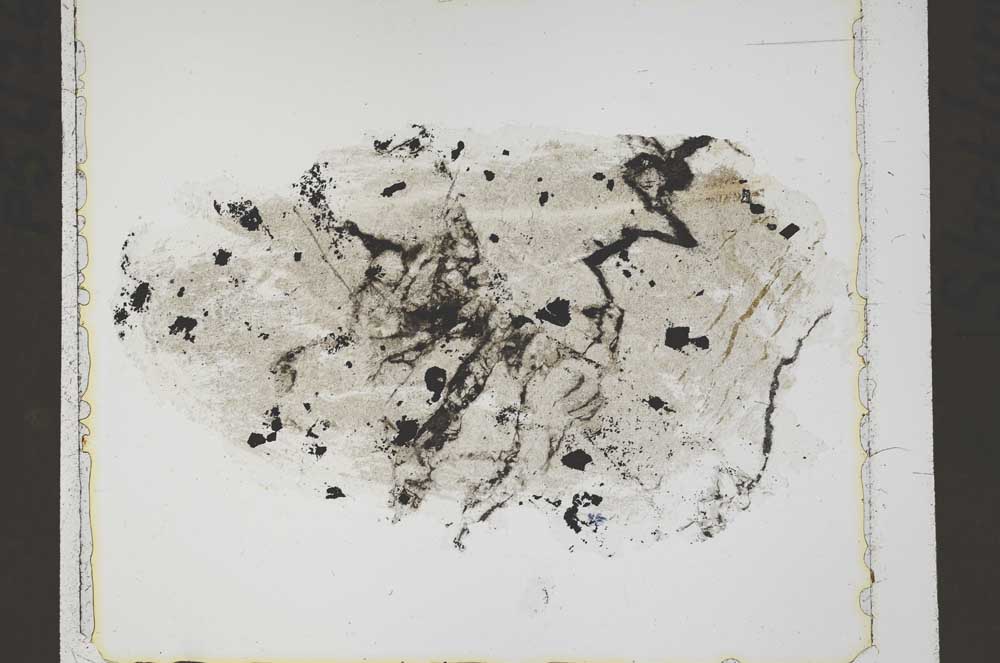 Plane Polarized, S41817