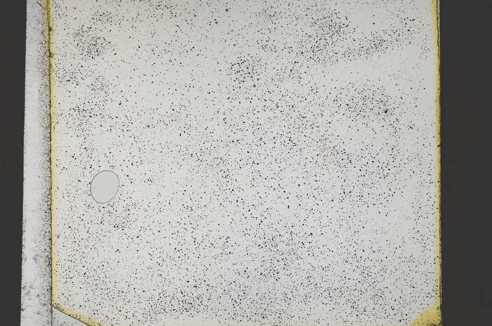 Plane Polarized, S41818/A
