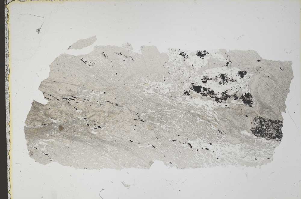 Plane Polarized, S41819