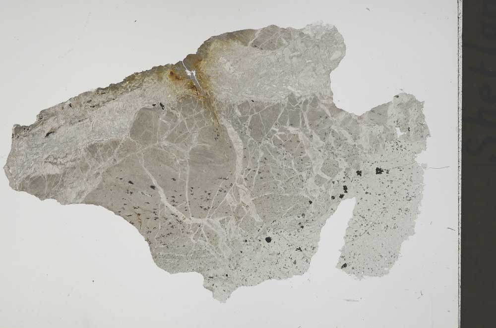Plane Polarized, S41820