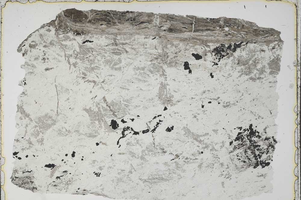 Plane Polarized, S41821