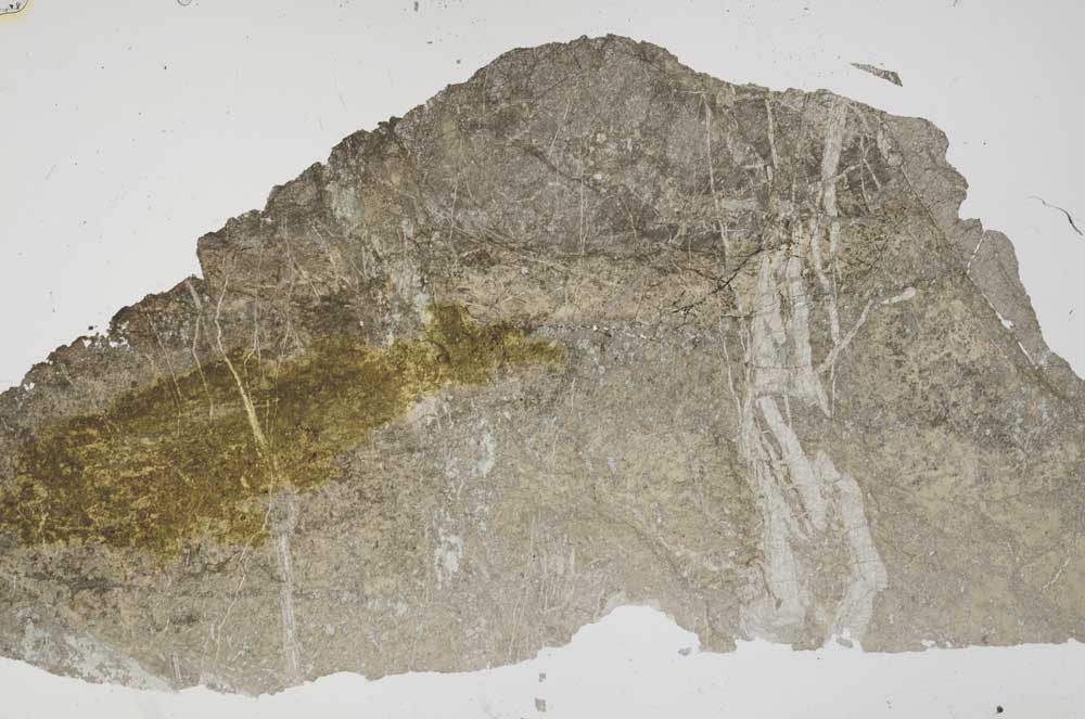 Plane Polarized, S41822
