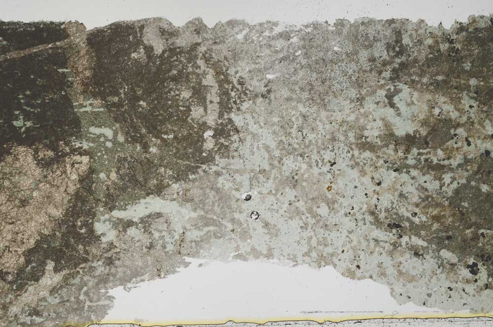 Plane Polarized, S41832