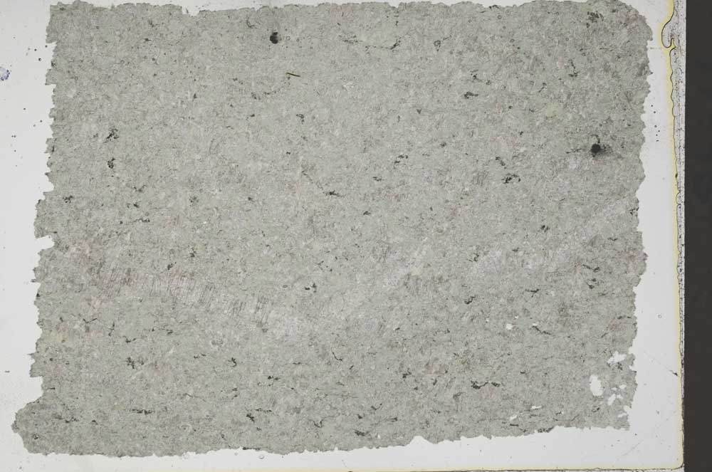 Plane Polarized, S41836