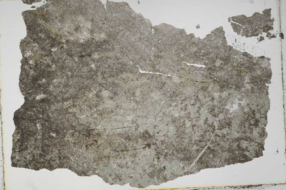 Plane Polarized, S41838