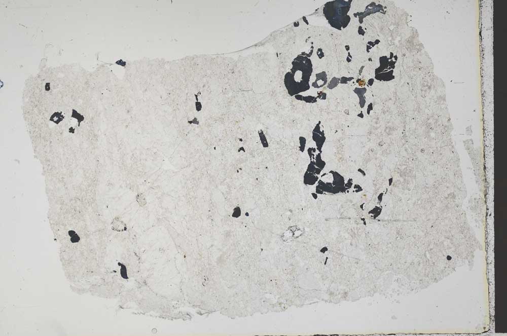 Plane Polarized, S41839