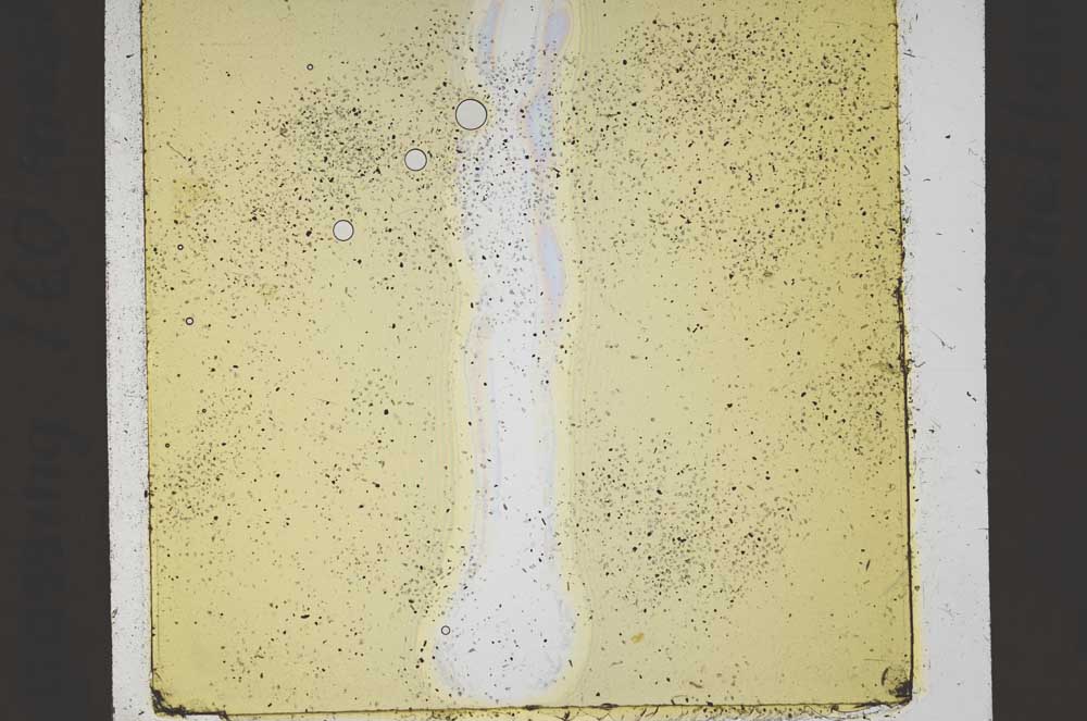 Plane Polarized, S41845