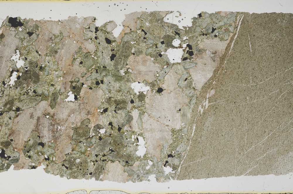 Plane Polarized, S41868