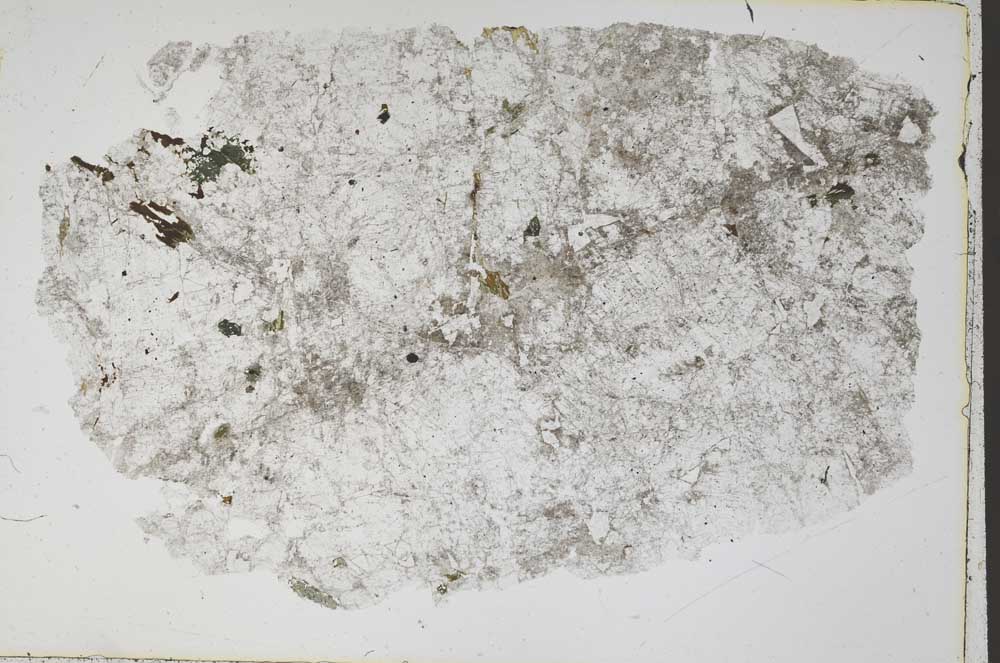 Plane Polarized, S41873