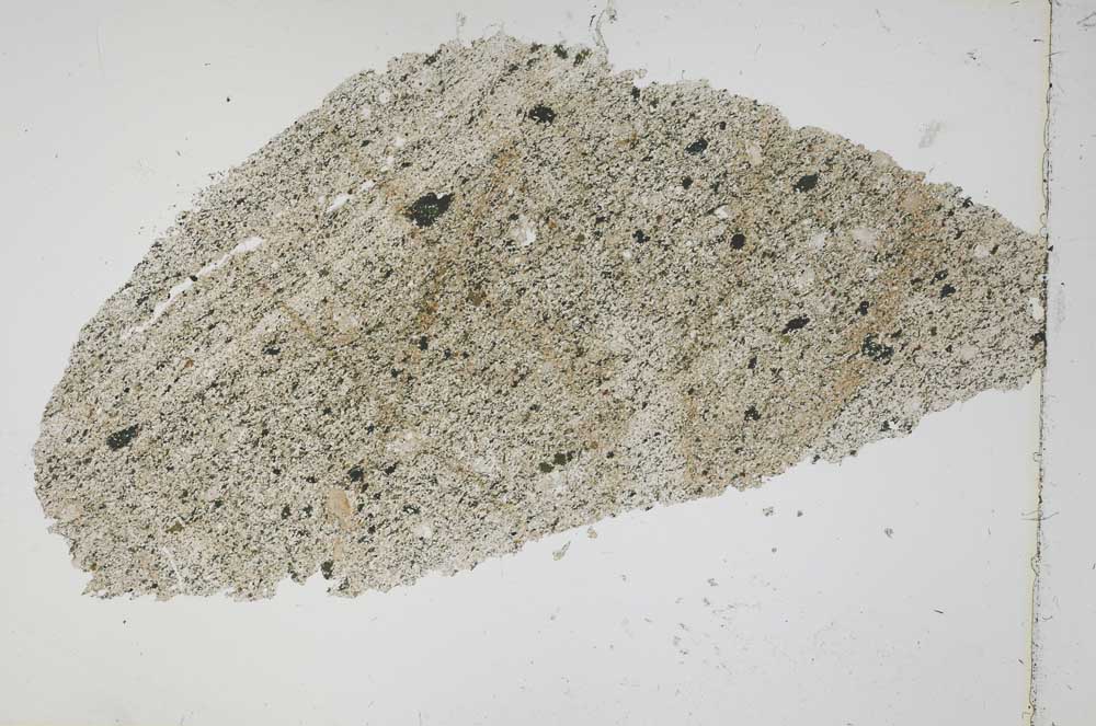 Plane Polarized, S41877