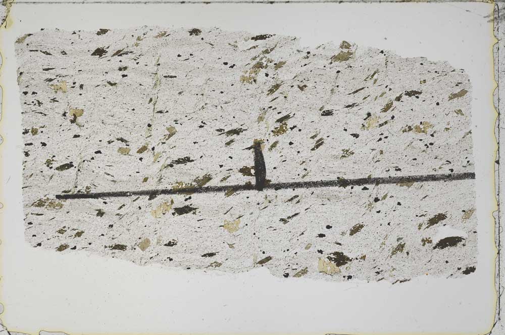 Plane Polarized, S41899