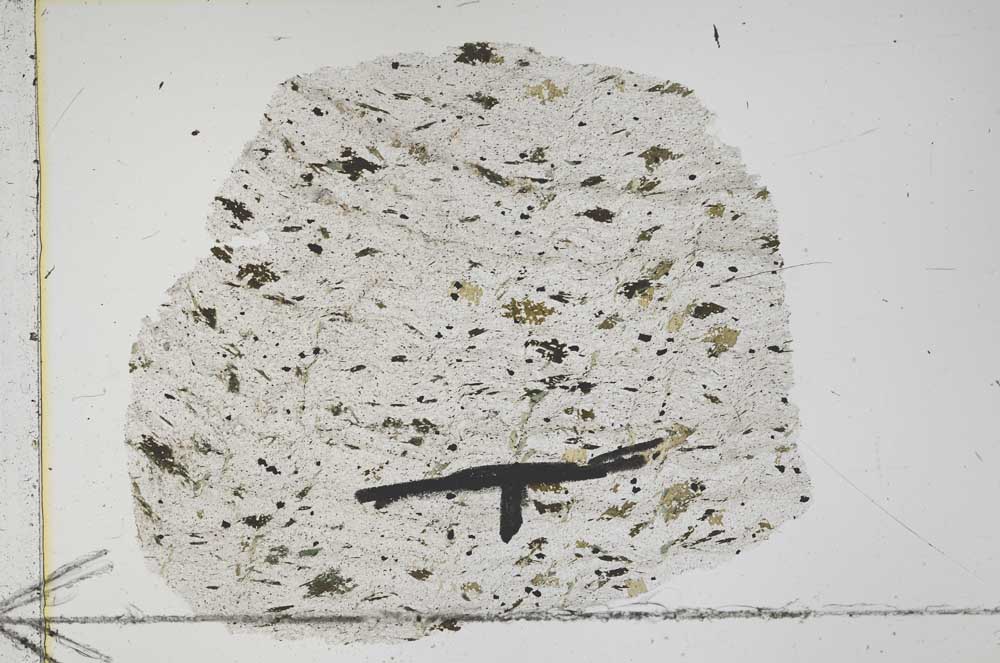 Plane Polarized, S41899/A