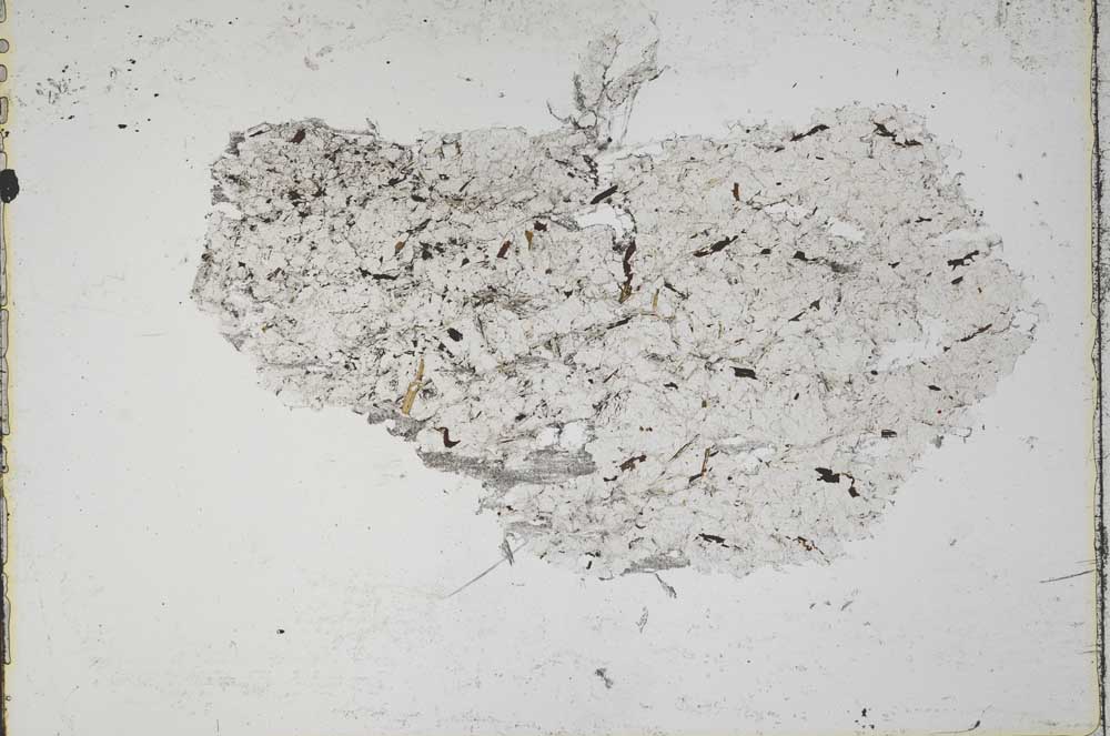 Plane Polarized, S41903