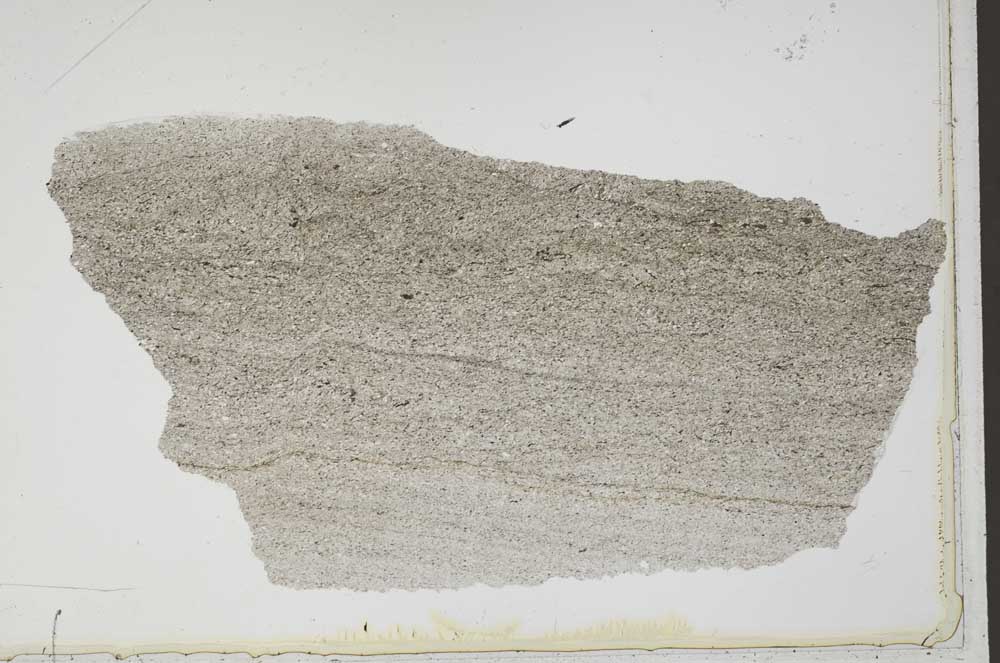 Plane Polarized, S41905
