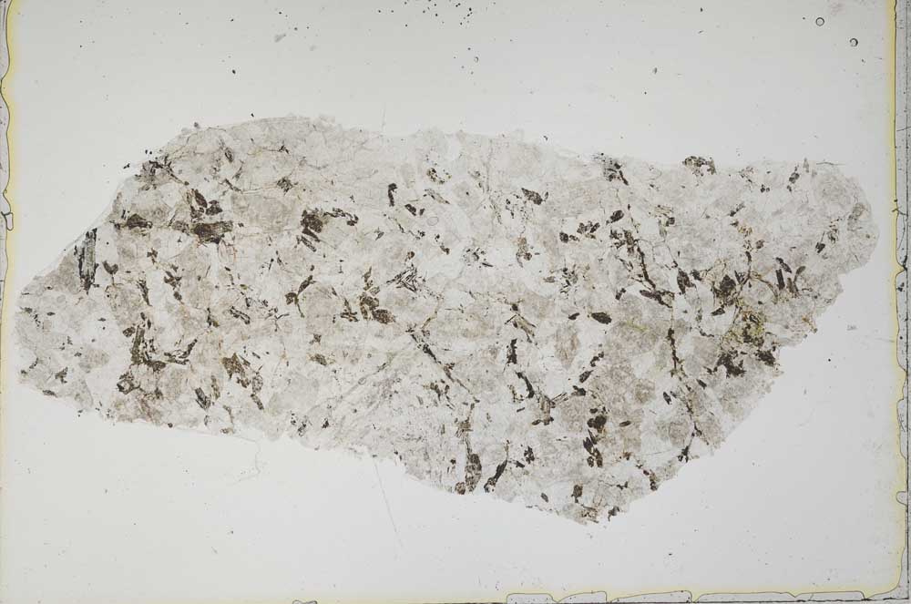 Plane Polarized, S41916