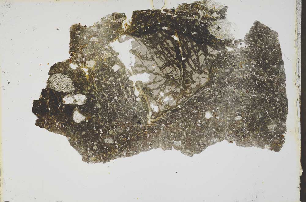 Plane Polarized, S41933