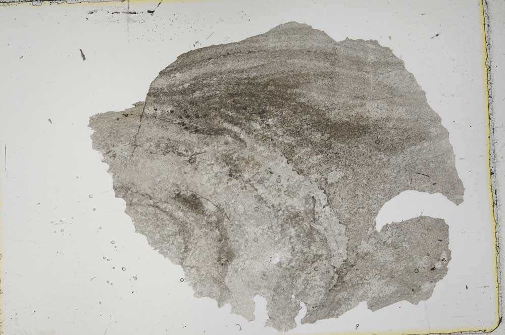Plane Polarized, S41935