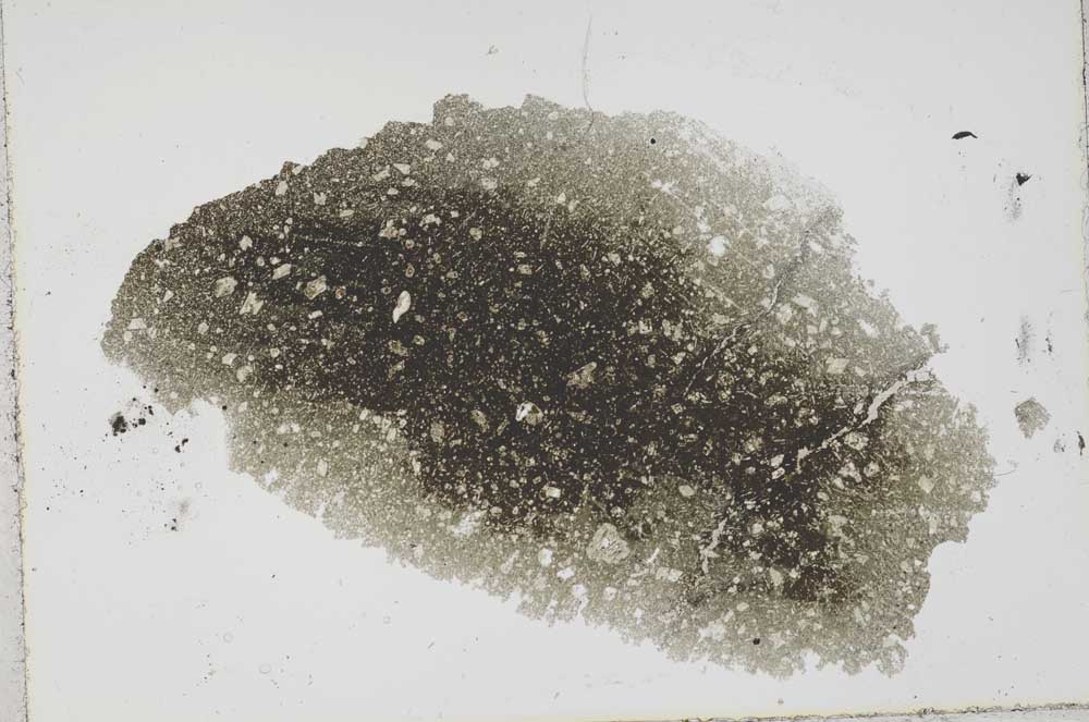 Plane Polarized, S41946